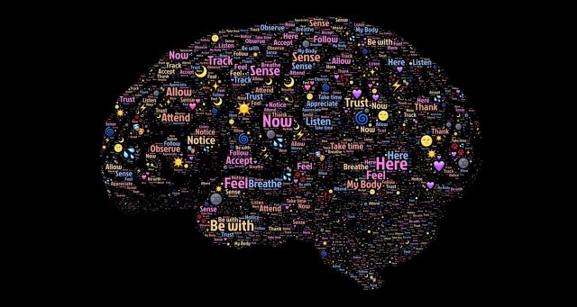 Neurociência da linguagem: As sentenças no cérebro 2