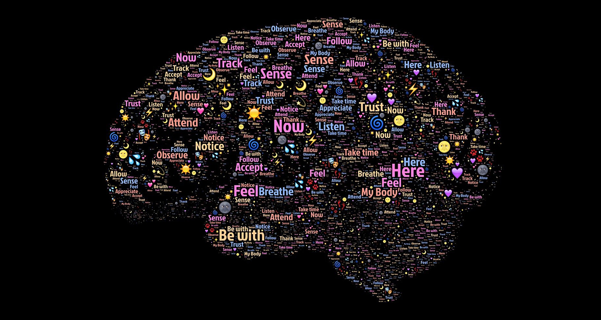 Neurociência da linguagem: As sentenças no cérebro 4